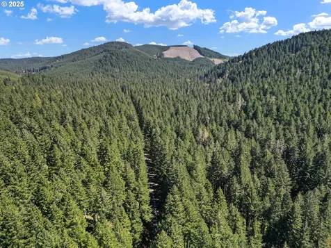 24458 Panther Creek Road Veneta OR 97487