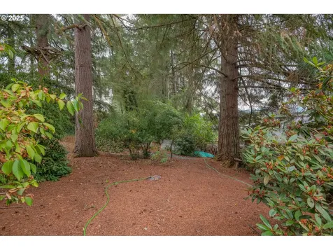 448 Strawberry Loop Sweet Home OR 97386