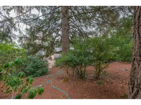 448 Strawberry Loop Sweet Home OR 97386