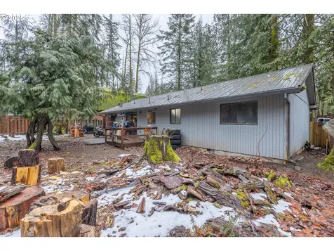 65633 E Timberline Drive E Rhododendron OR 97049