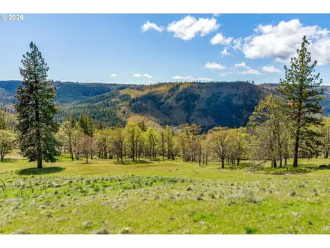 115 Wahkiacus Heights Road Wahkiacus WA 98670