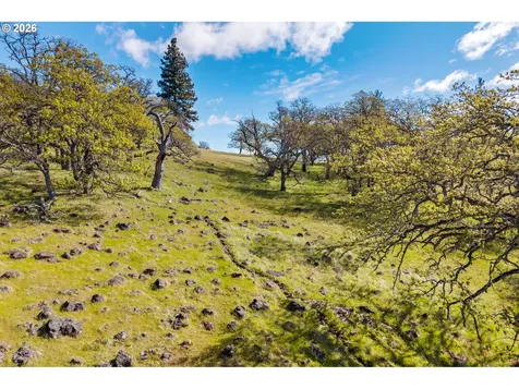115 Wahkiacus Heights Road Wahkiacus WA 98670