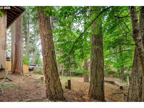 1175 Fir Lane Eugene OR 97405