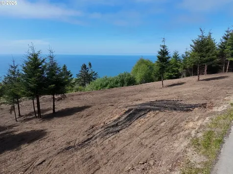 Mcvay Creek Road Tl310 Brookings OR 97415