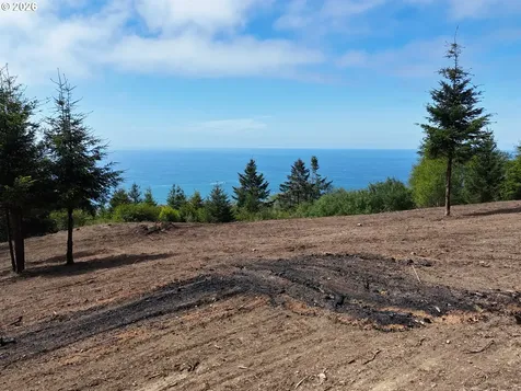 Mcvay Creek Road Tl310 Brookings OR 97415