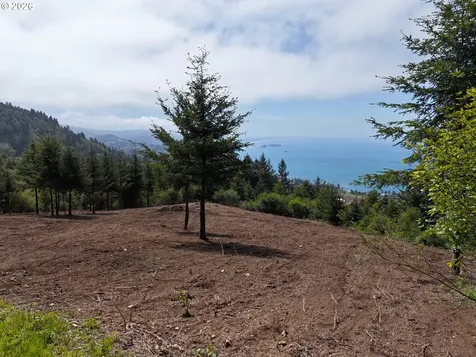 Mcvay Creek Road Tl310 Brookings OR 97415