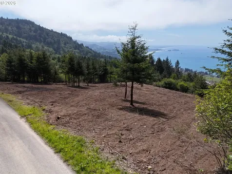 Mcvay Creek Road Tl310 Brookings OR 97415