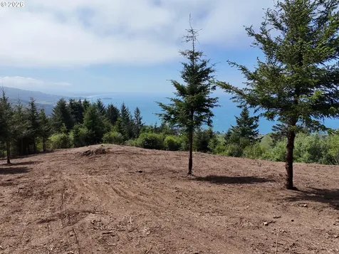 Mcvay Creek Road Tl310 Brookings OR 97415