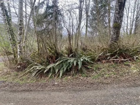 00 Elderberry Drive Seaside OR 97138