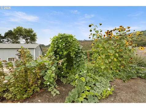 4321 Happy Valley Road Roseburg OR 97471