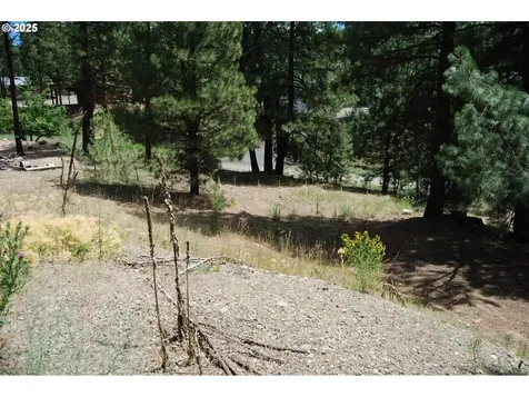 554 N Bonanza Street Sumpter OR 97877