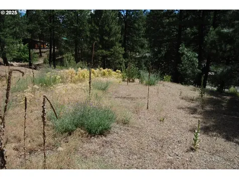 554 N Bonanza Street Sumpter OR 97877