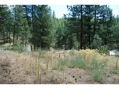 554 N Bonanza Street Sumpter OR 97877