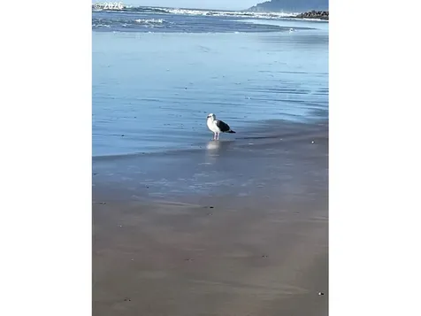 8545 Song Street Rockaway Beach OR 97136