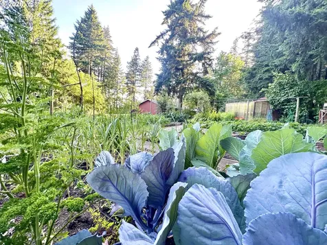 16691 S Holcomb Boulevard Oregon City OR 97045