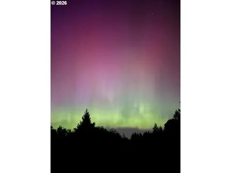13130 NW Skyline Boulevard Portland OR 97231