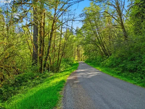 Upper North Ford Road Florence OR 97439