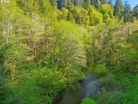 Upper North Ford Road Florence OR 97439