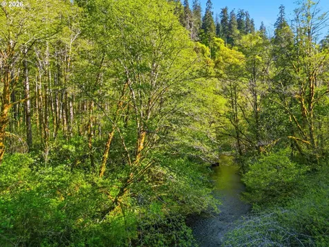 Upper North Ford Road Florence OR 97439