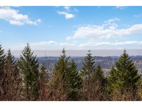 17908 NE 391st Street Amboy WA 98601