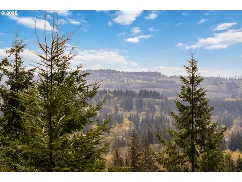17908 NE 391st Street Amboy WA 98601