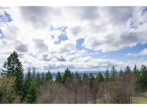 17908 NE 391st Street Amboy WA 98601
