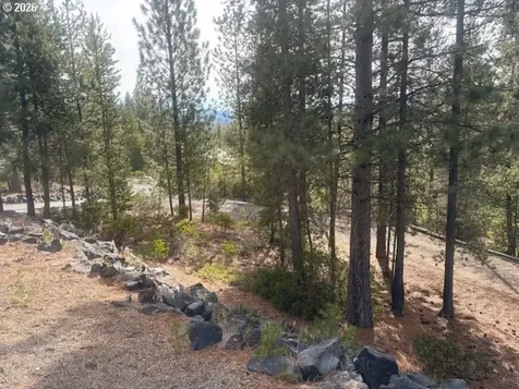 19021 Alpine Breeze Way Crescent Lake OR 97733