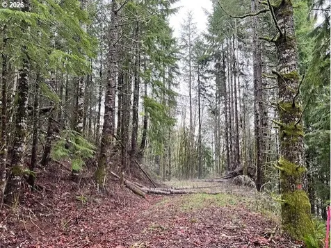 76781 Palm Hill Road Clatskanie OR 97016