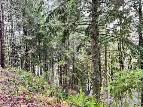 76781 Palm Hill Road Clatskanie OR 97016