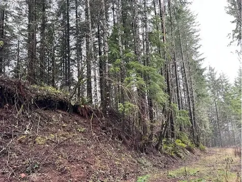 76781 Palm Hill Road Clatskanie OR 97016