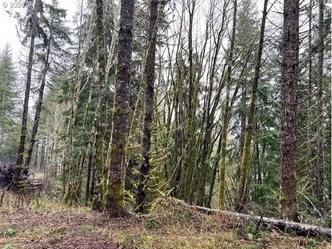 76781 Palm Hill Road Clatskanie OR 97016