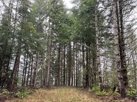 76781 Palm Hill Road Clatskanie OR 97016
