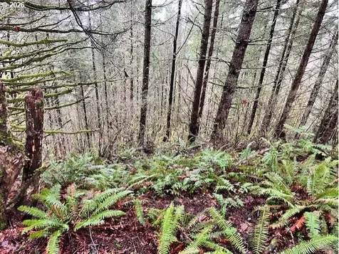 76781 Palm Hill Road Clatskanie OR 97016