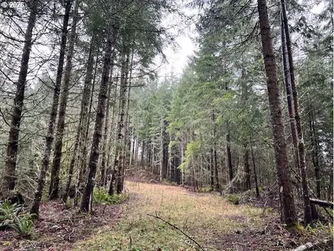 76781 Palm Hill Road Clatskanie OR 97016