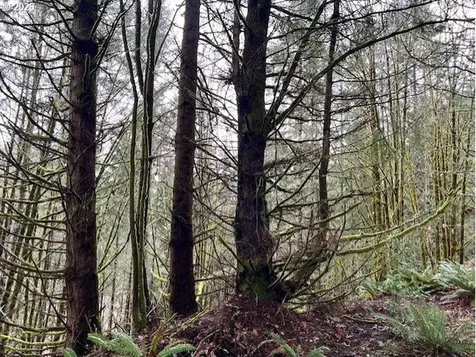 76781 Palm Hill Road Clatskanie OR 97016