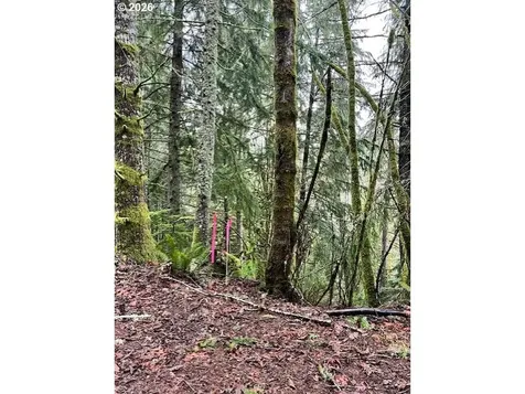 76781 Palm Hill Road Clatskanie OR 97016