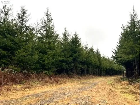 76781 Palm Hill Road Clatskanie OR 97016