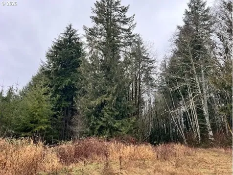 76781 Palm Hill Road Clatskanie OR 97016