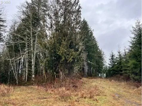 76781 Palm Hill Road Clatskanie OR 97016
