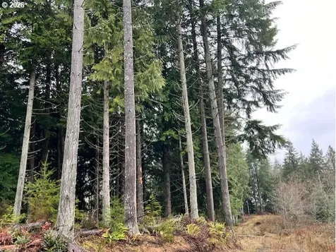 76781 Palm Hill Road Clatskanie OR 97016