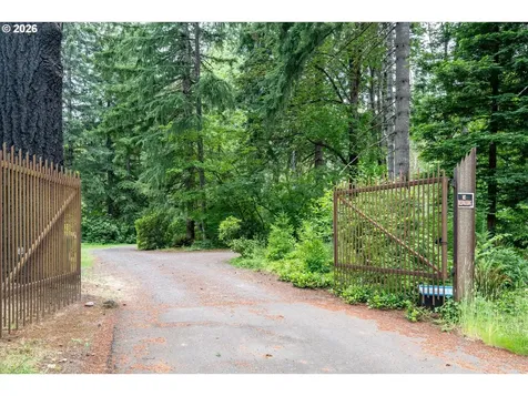 49482 Mckenzie Highway Vida OR 97488