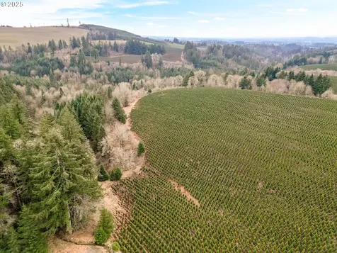 17146 Coon Hollow Road SE Stayton OR 97383