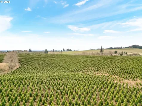 17146 Coon Hollow Road SE Stayton OR 97383