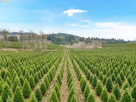 17146 Coon Hollow Road SE Stayton OR 97383