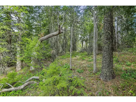 Nka N Lake Drive Goldendale WA 98620