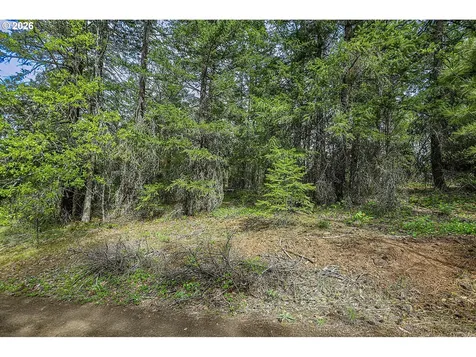 Nka N Lake Drive Goldendale WA 98620