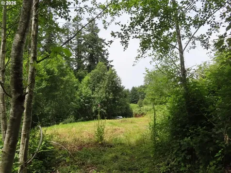 Coleman Road Mossyrock WA 98564