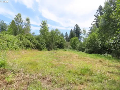 Coleman Road Mossyrock WA 98564