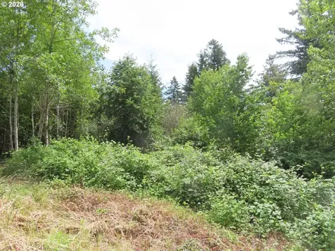 Coleman Road Mossyrock WA 98564