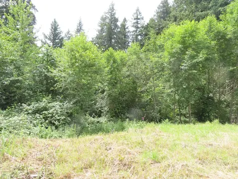 Coleman Road Mossyrock WA 98564